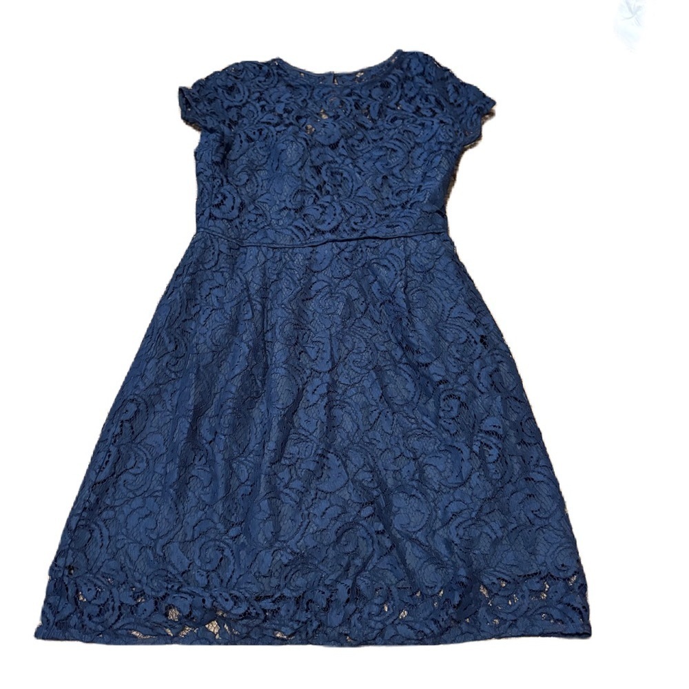 J. Crew Alisa Navy Lace Midi Dress Leavers Lace Sz 8 Short Sleeve
